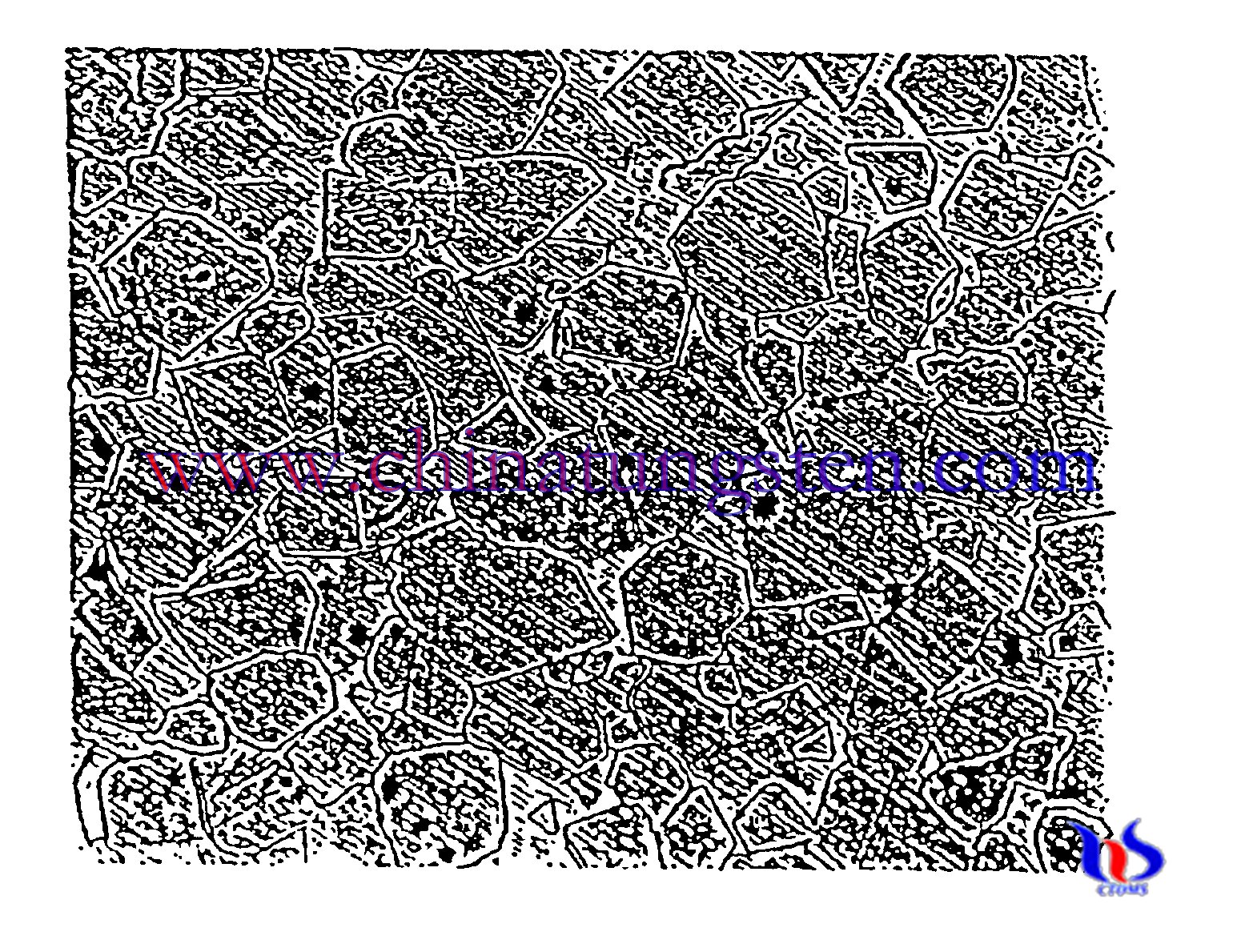 SEM Photo de carbure de tungstène