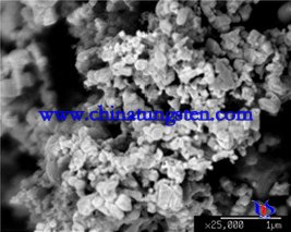 Carbure de Tungstène en Poudre