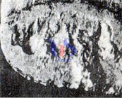 cemented carbide tool wear cemented carbide tool wear