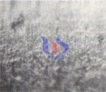 ordinary cemented carbide reamers processing surface ordinary cemented carbide reamers processing surface